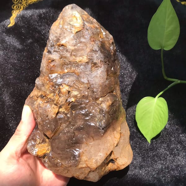 Front view of the deeply etched smoky crystal with iron-stained crevices