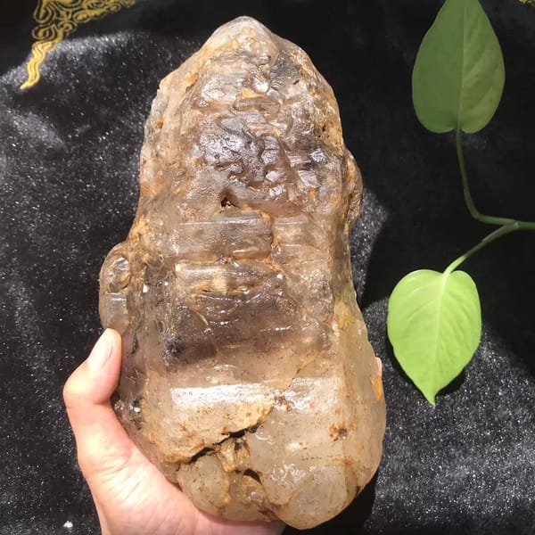 Full front view of the skeletal smoky quartz beside a green leaf