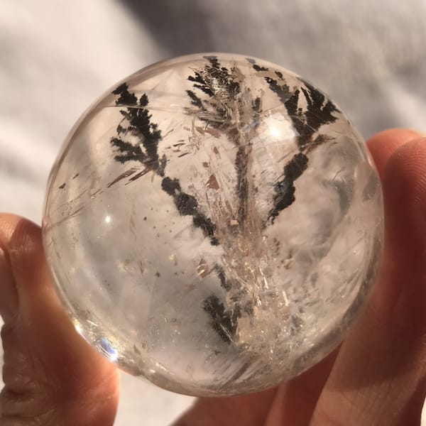 Tree inclusion centred in the sphere with soft white veils behind