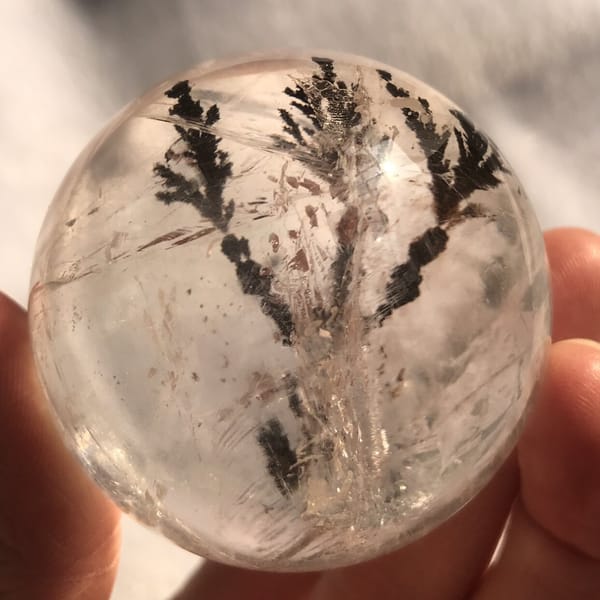 Full tree inclusion with three main branches inside the polished ball