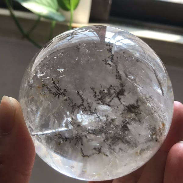 Money tree inclusions seen beside a window with a green plant behind