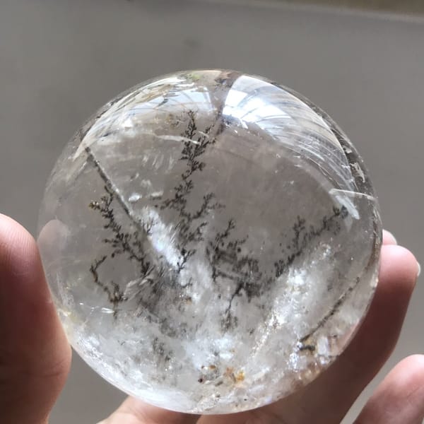 Dark branches fanning across the clear quartz like winter twigs