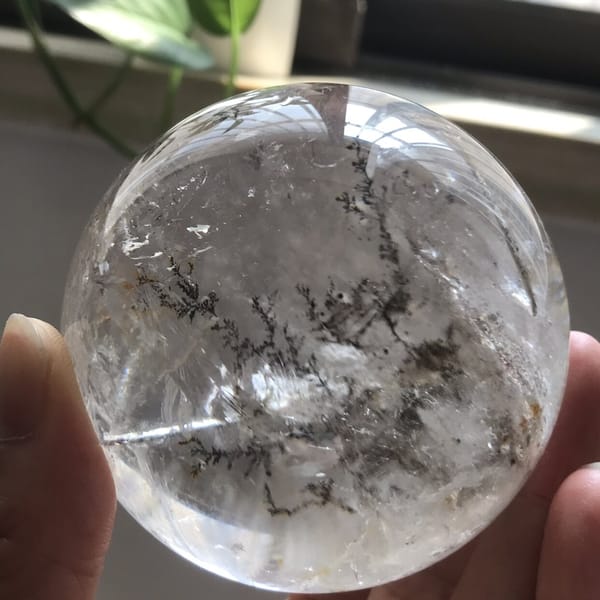 Sphere held by a window with branches spread across the whole interior
