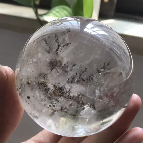Dense branching inclusions crossing the lower half of the garden sphere