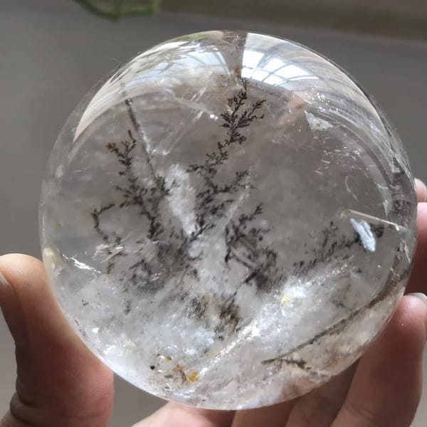 Upright money tree silhouette framed by clear quartz and a bright highlight