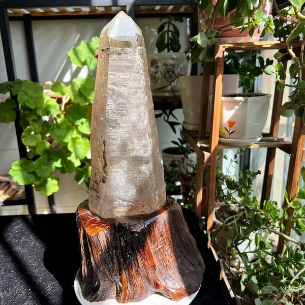 Tall clear quartz laser point standing upright on a red-brown carved root stand