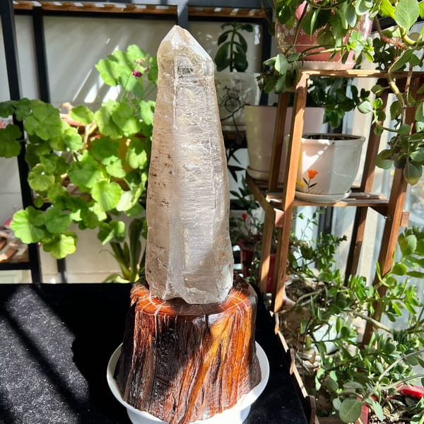 Clean pointed termination of the clear quartz crystal catching morning sun