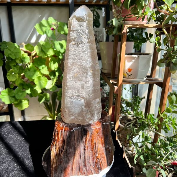 Misty lower body of the laser quartz seated in the root base