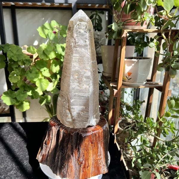 Another angle of the clear quartz point and dark-grained root stand