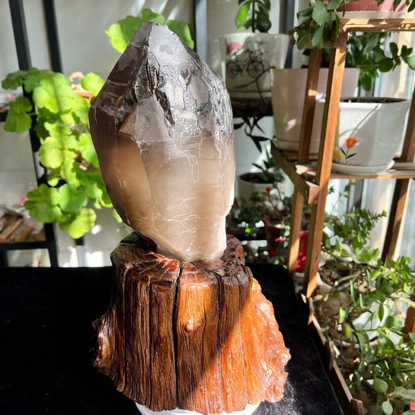 Broad face of the elestial smoky quartz with layered etched terraces