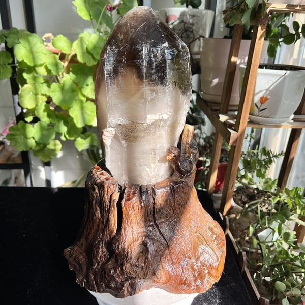 Front of the smoky quartz showing brown-to-white colour gradient