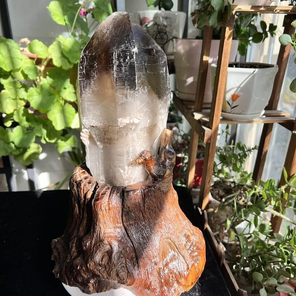 Back of the smoky quartz on its stand with glossy natural skin