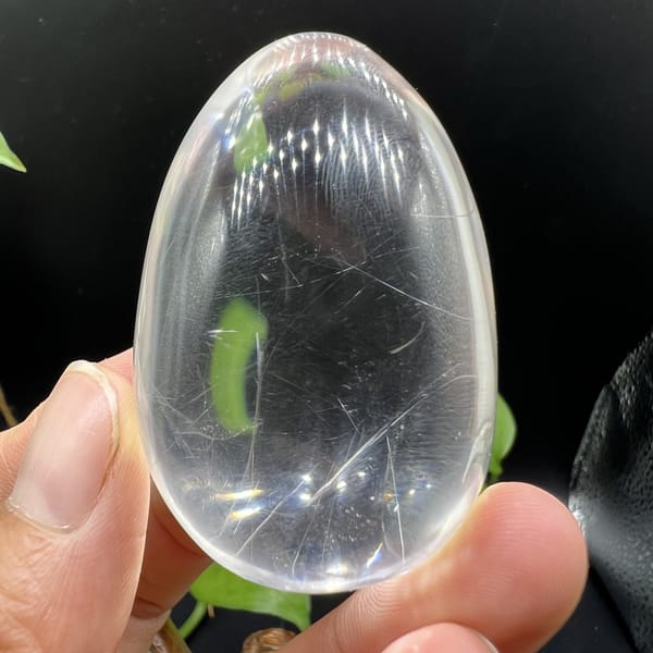 Clear egg on dark background with needles and a leaf reflection