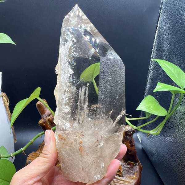 Side view with a clear window and frosted natural base