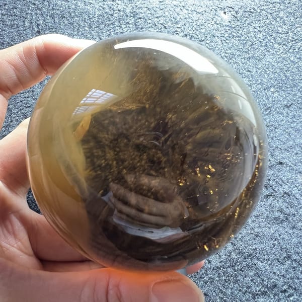 Dense tangle of fine brown needles seen from the far side of the sphere