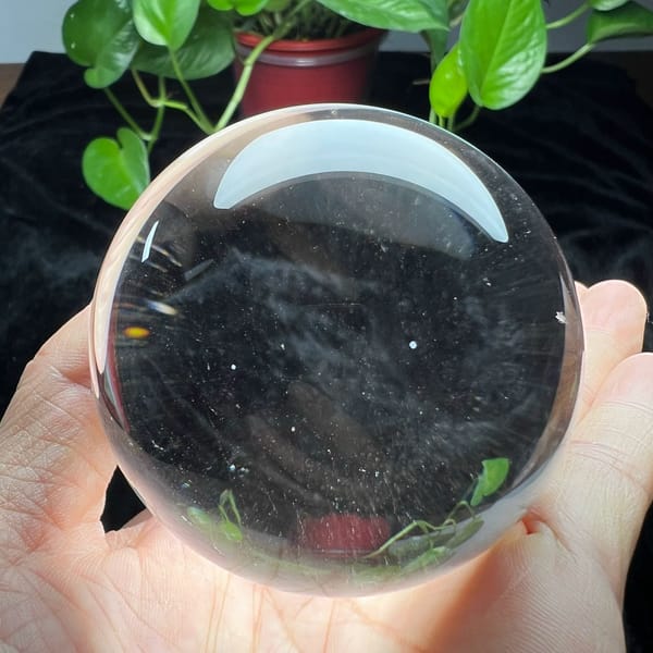 Water-clear sphere showing inverted green leaves and a red pot through it