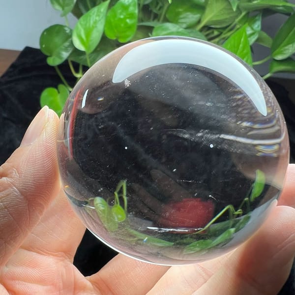 Bright sphere with faint silky streaks and an upside-down plant inside the view