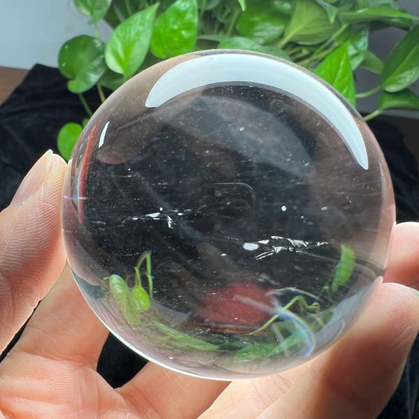 Clear quartz held up with leaves refracted along the lower edge