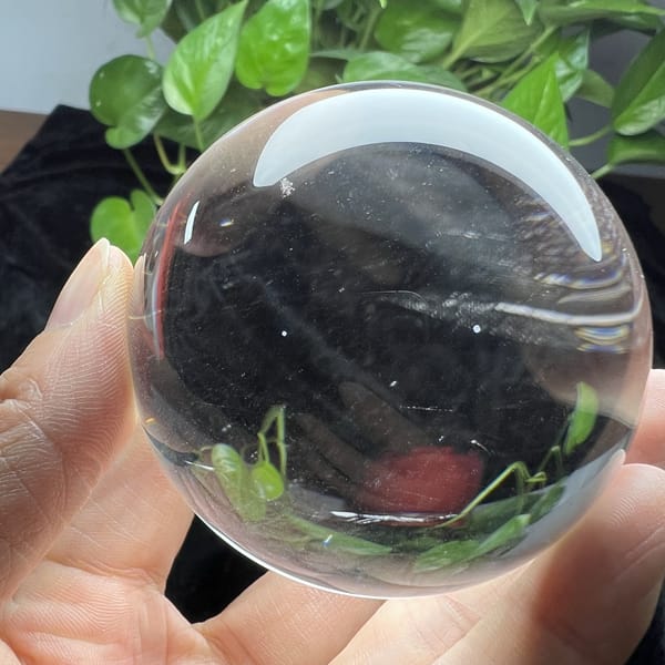Sphere against foliage showing a crisp inverted image of the plants