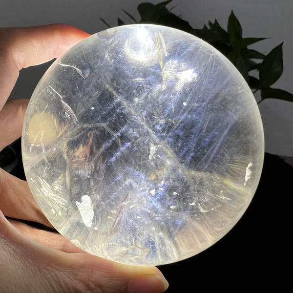 Clear section of the sphere with crossing blue sprays and green leaves behind
