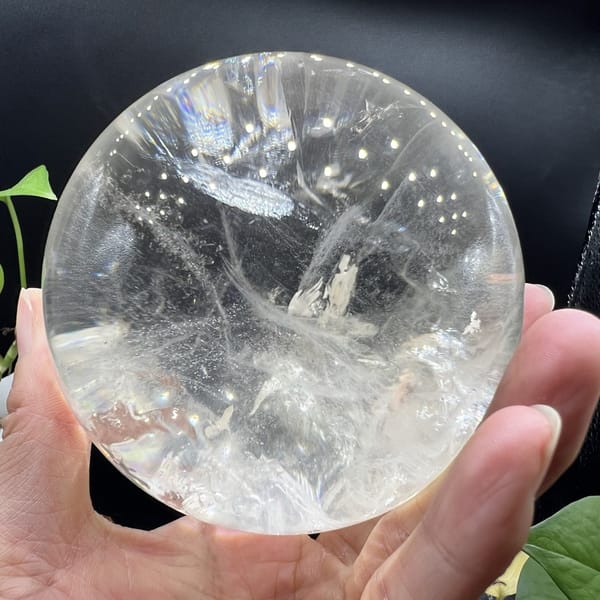 Sphere resting in a palm with leaves behind and white phantoms inside