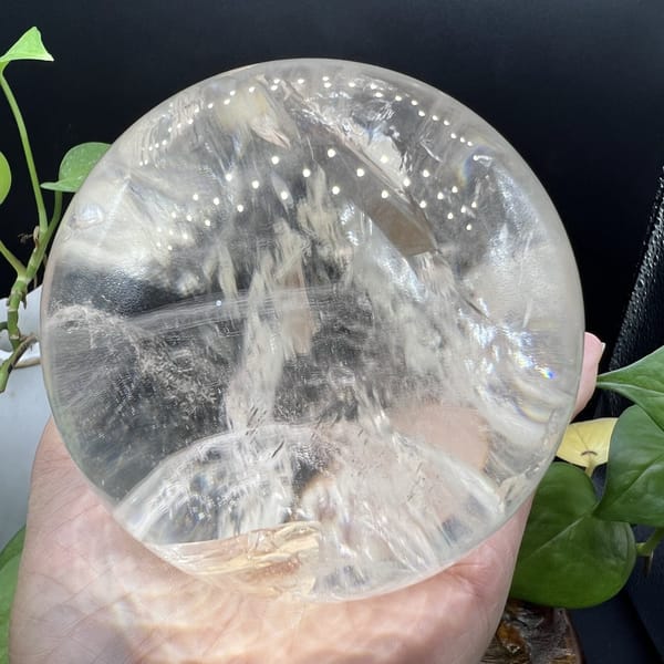 Lower view of the sphere showing white ridges against green foliage