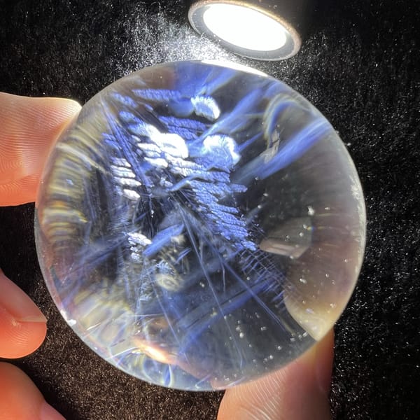 Rows of white flakes and blue feathers seen under strong side light