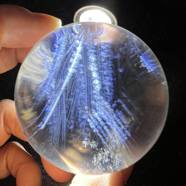 Dense blue thicket of needles under a bright torch beam