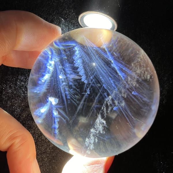 Blue fronds and white flakes viewed with the torch at the top