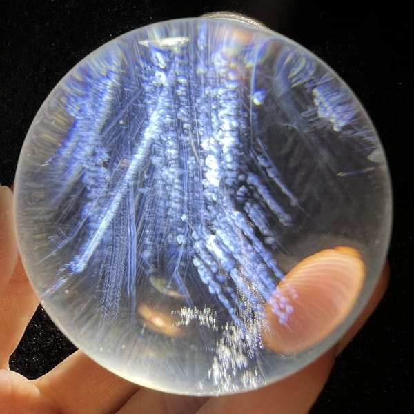 Close view of densely packed blue sprays with fingertip at lower right