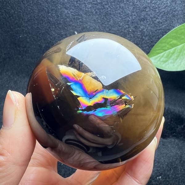 Rainbow flash close under the surface with honey colour below