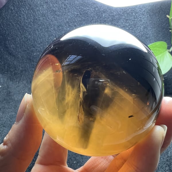 Dark smoky upper half above golden quartz and wispy white needles