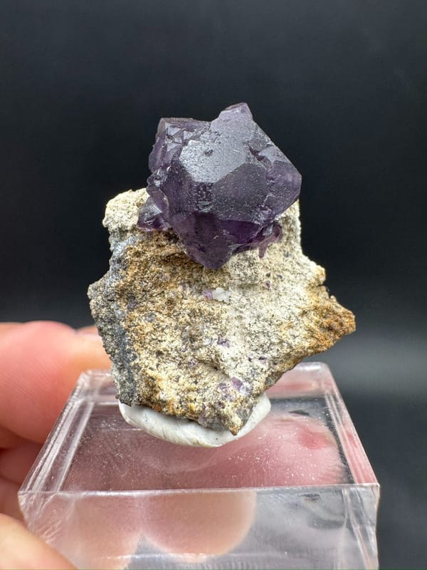 Cristal de fluororita púrpura en la matriz — Fujian