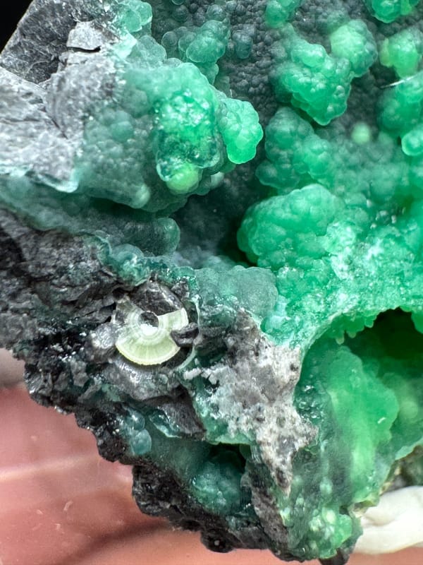 Unidentified mineral from Yunnan, China, individual mineral specimen view 9