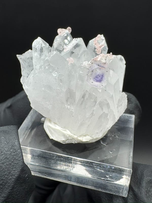 Fluorite from Wuzhou, Guangxi, China, individual mineral specimen view 1