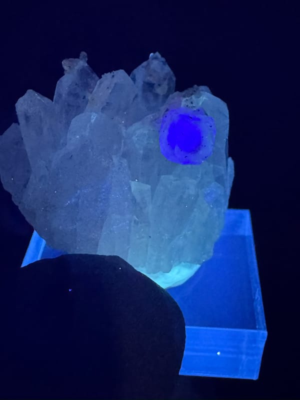 Fluorite from Wuzhou, Guangxi, China, individual mineral specimen view 2