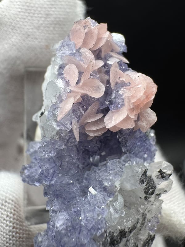 Fluorite from Wuzhou, Guangxi, China, individual mineral specimen view 2