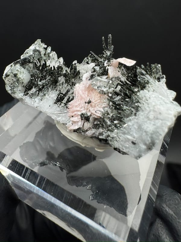 Rhodochrosite from Wuzhou, Guangxi, China, individual mineral specimen view 6