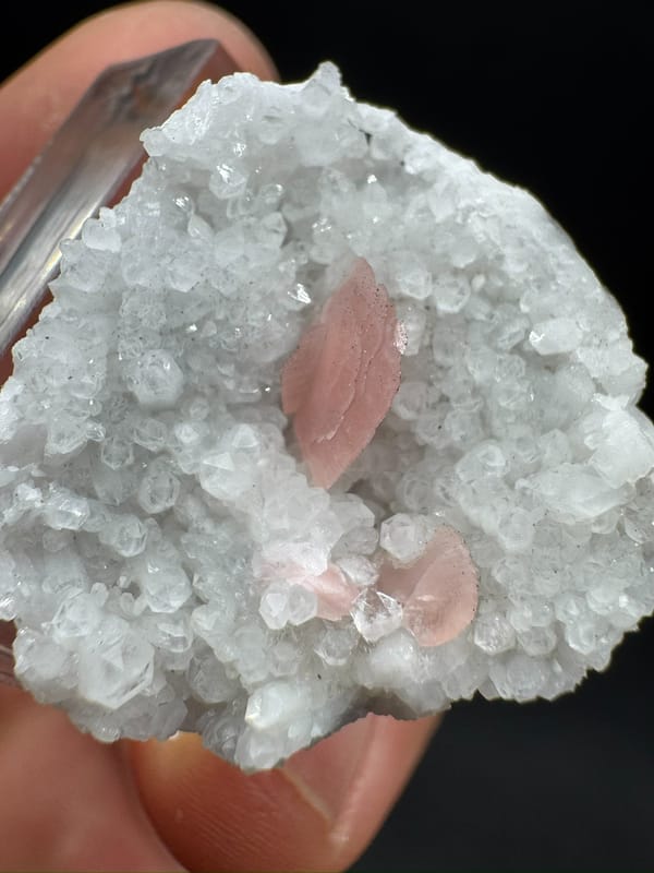 Rhodochrosite from Wuzhou, Guangxi, China, individual mineral specimen view 7