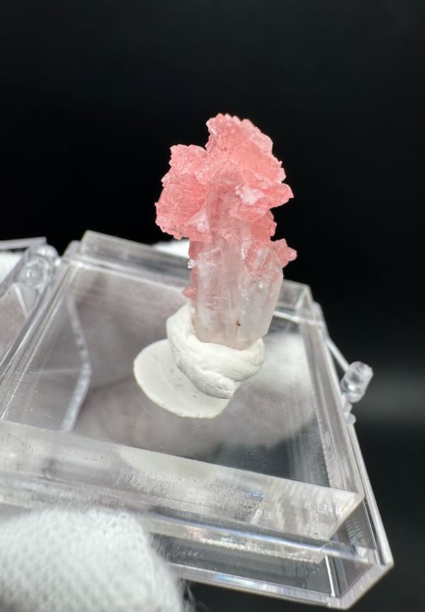 Rhodochrosite from Wuzhou, Guangxi, China, individual mineral specimen view 2
