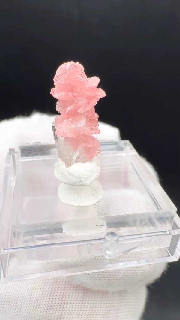 Rhodochrosite from Wuzhou, Guangxi, China, individual mineral specimen view 8