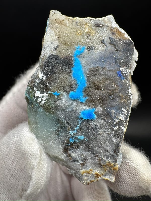 Cyanotrichite blu brillante su Matrix Grigio