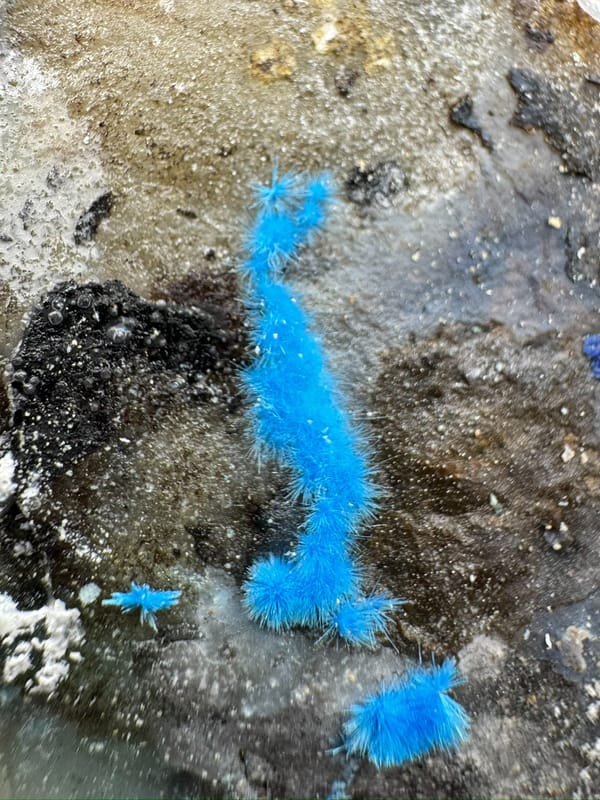 Cyanotrichite from Guizhou, China, individual mineral specimen view 7