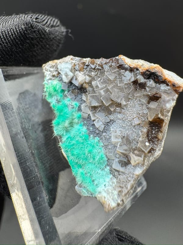 Cyanotrichite from Guizhou, China, individual mineral specimen view 5