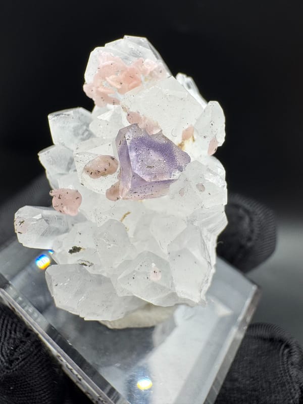 Fluorite from Wuzhou, Guangxi, China, individual mineral specimen view 4