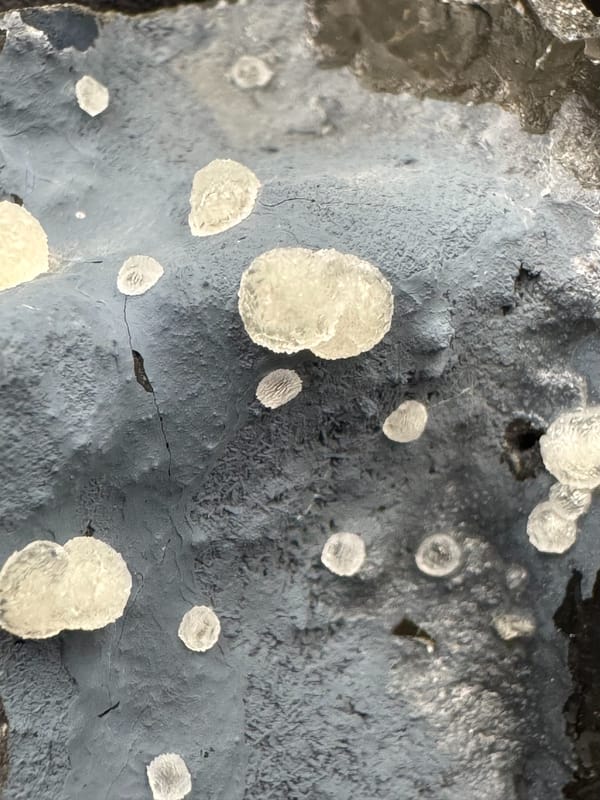 Calcite from Zhejiang, China, individual mineral specimen view 3