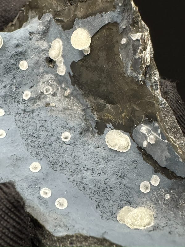 Calcite from Zhejiang, China, individual mineral specimen view 5