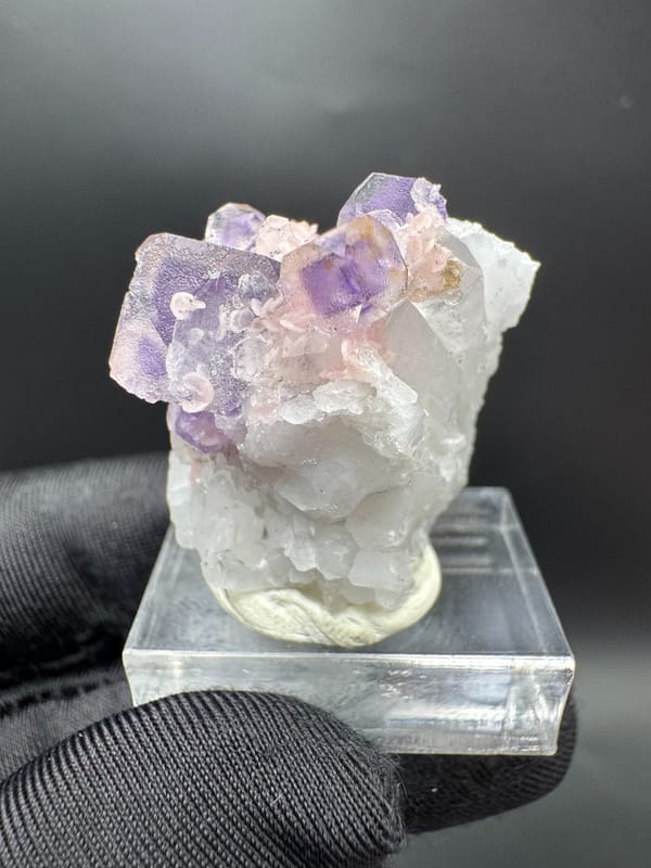 Fluorite from Wuzhou, Guangxi, China, individual mineral specimen view 1