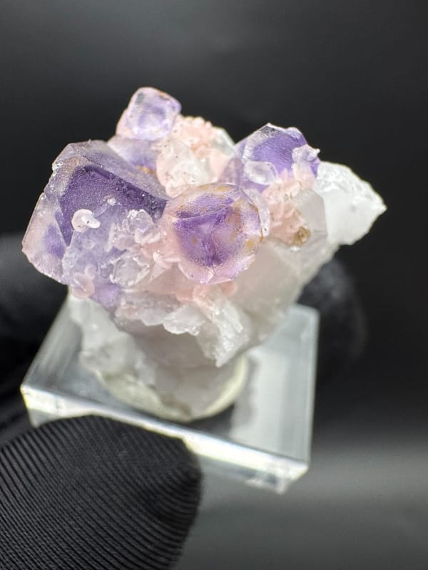 Fluorite from Wuzhou, Guangxi, China, individual mineral specimen view 2