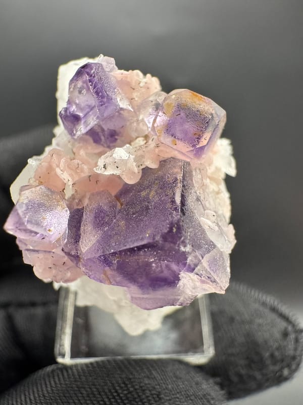 Fluorite from Wuzhou, Guangxi, China, individual mineral specimen view 4